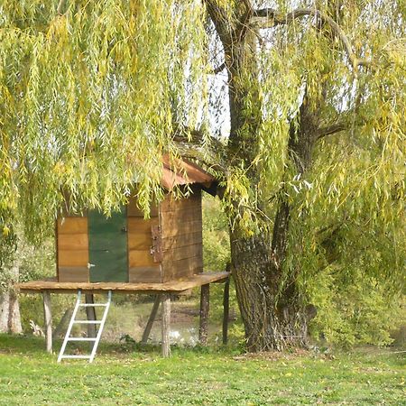 Les Convertigues Montjoire Bagian luar foto