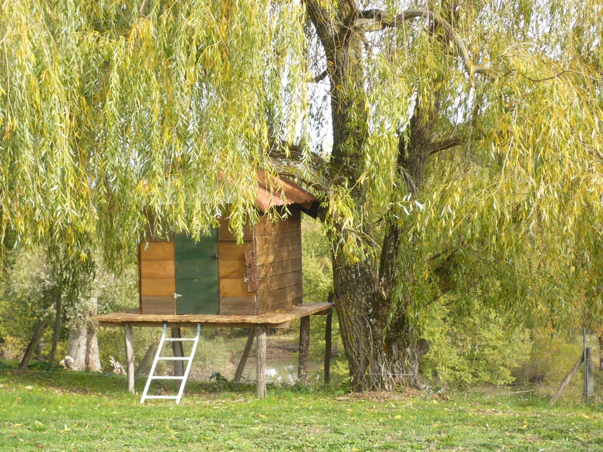 Les Convertigues Montjoire Bagian luar foto